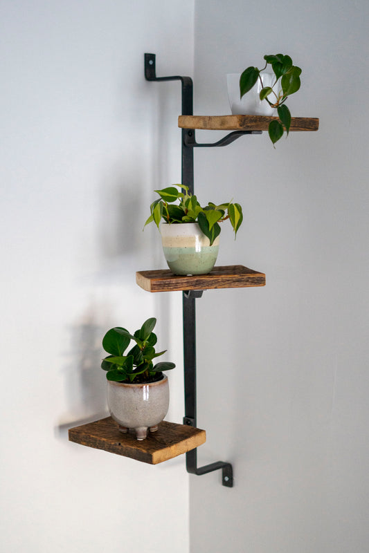 Corner Shelf Ladder