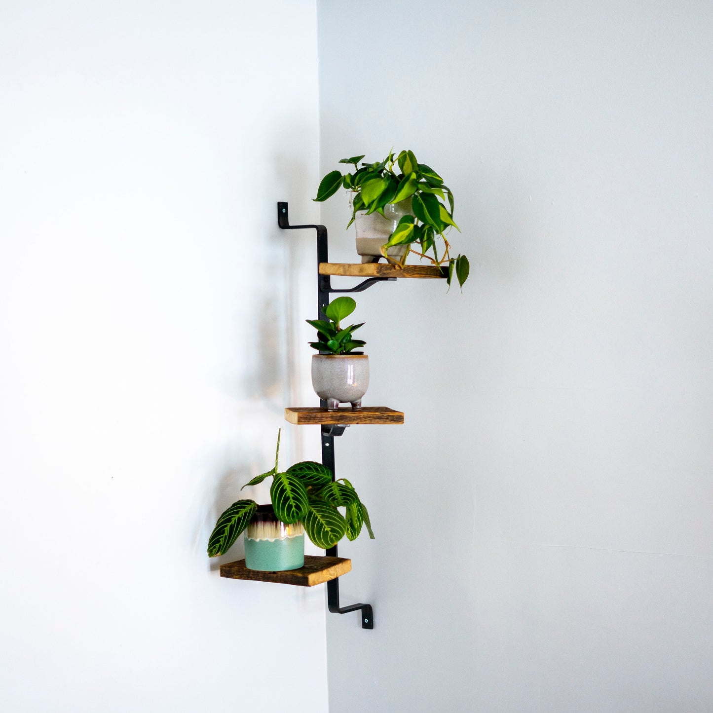 Corner Shelf Ladder