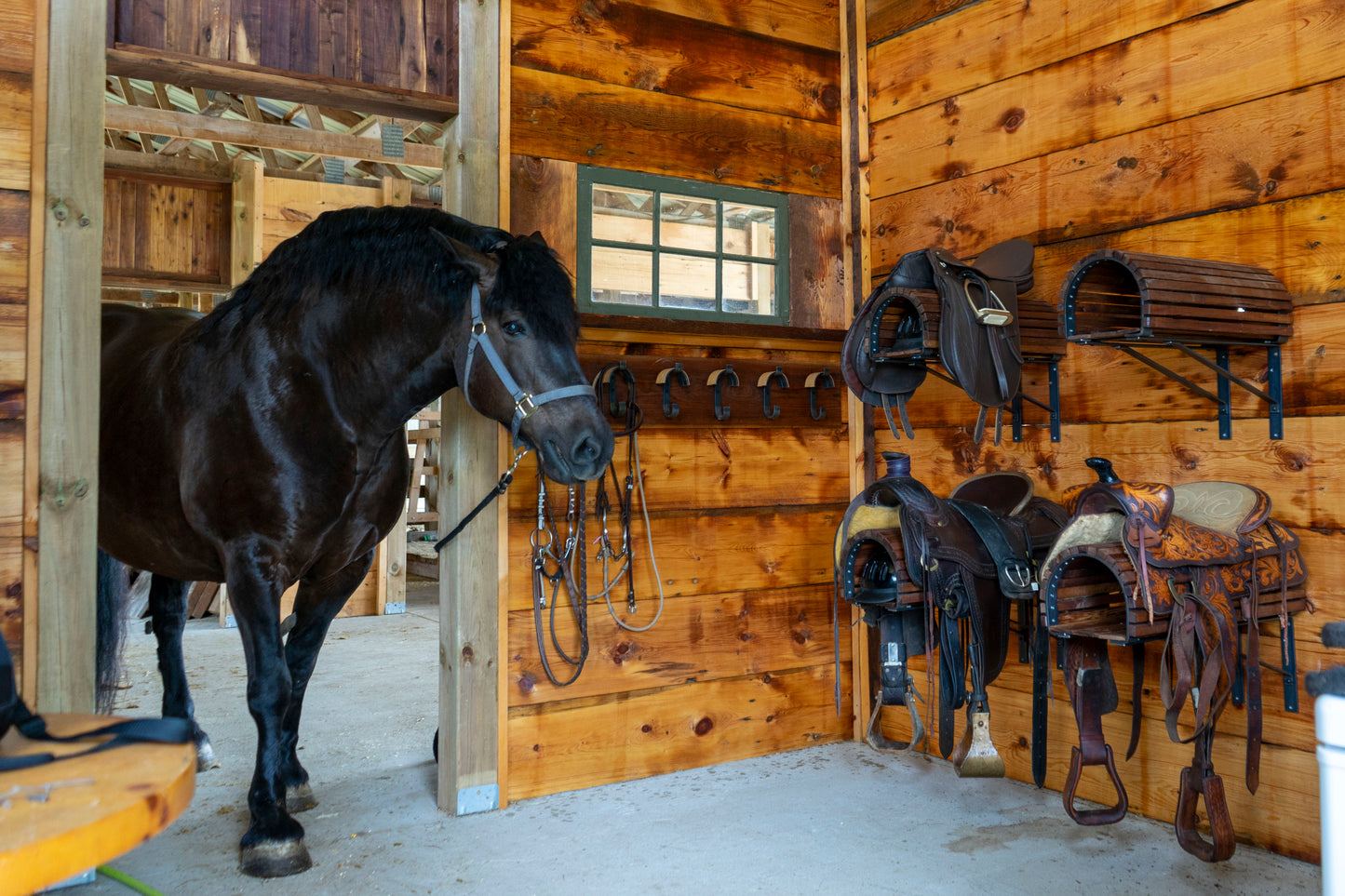 Saddle Rack